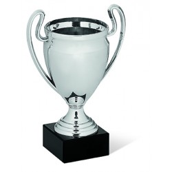 COPPA SPORTIVA 268/2025