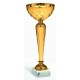 COPPA 226/2025