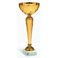 COPPA 226/2025