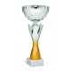 COPPA 208/2025