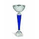 COPPA 228/2025