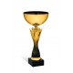 COPPA 192/2025