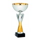 COPPA 193/2025
