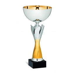 COPPA 193/2025