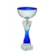 COPPA 187/2025