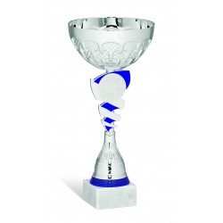 COPPA 205