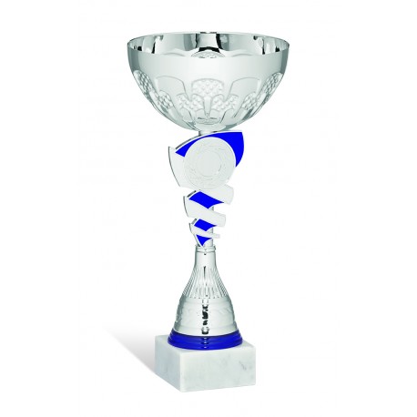 COPPA 205/2025