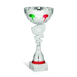 COPPA 203