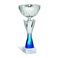 COPPA 211