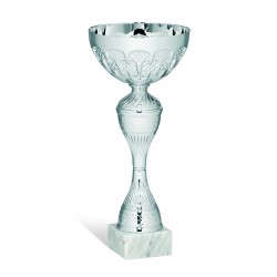 COPPA 221