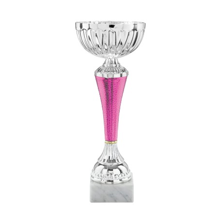 COPPA 873/2025