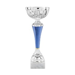 COPPA 863/2025