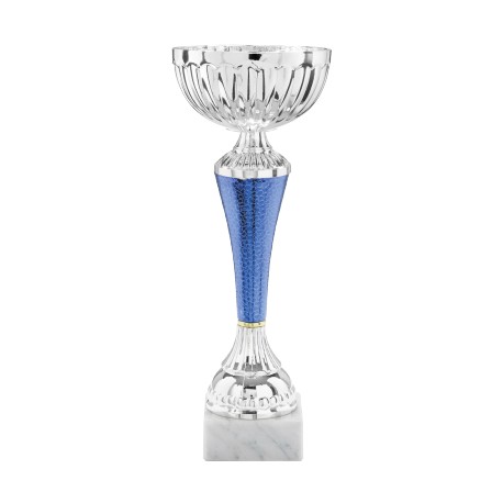 COPPA 863/2025
