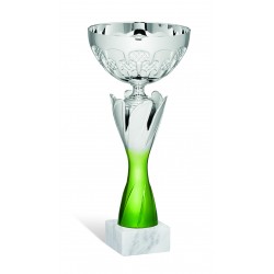 COPPA 207