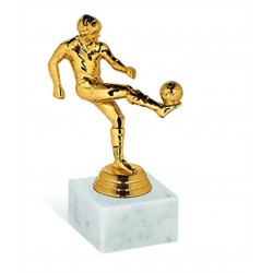 TROFEO CALCIATORE 301/2025