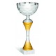 COPPA  213