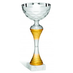COPPA  213