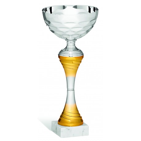COPPA  213