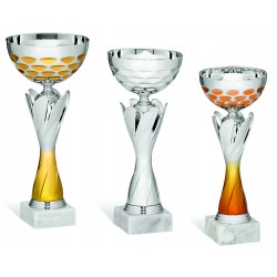 COPPA 212