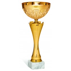 COPPA 198