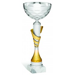 COPPA 194