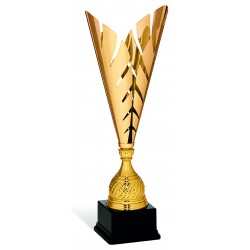 COPPA 140