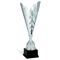COPPA 141
