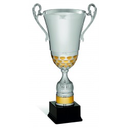 COPPA 122