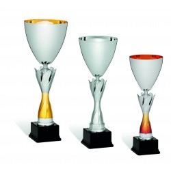 COPPA 116