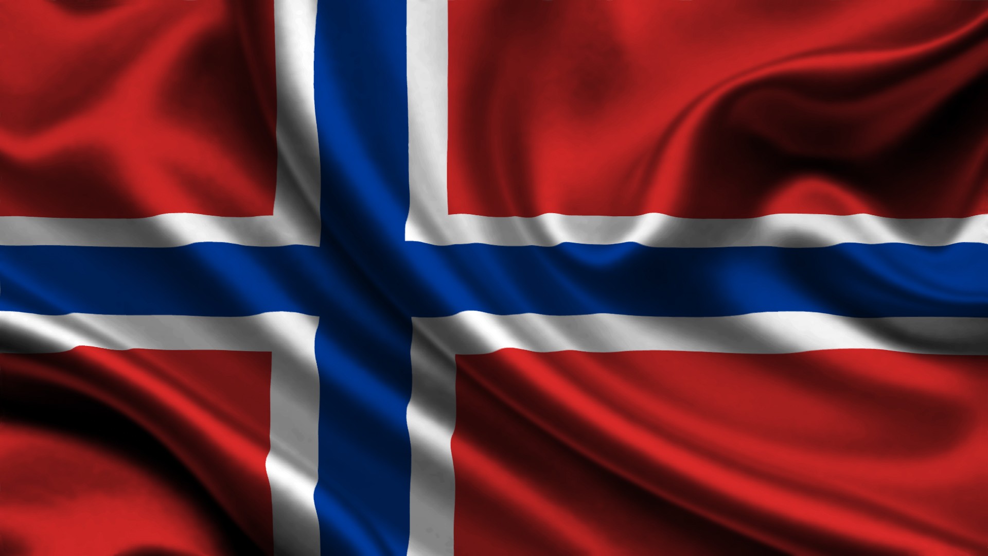 Bandiera Norvegia 30x45 cm da bastone